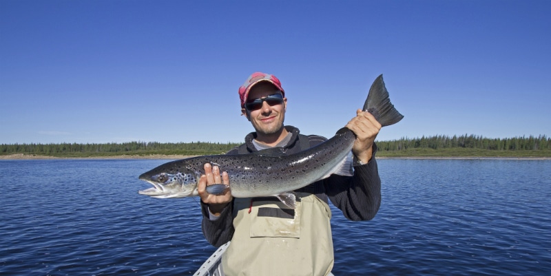 Mot-so-giac-mo-thay-bat-ca-nen-danh-con-gi-an-dam