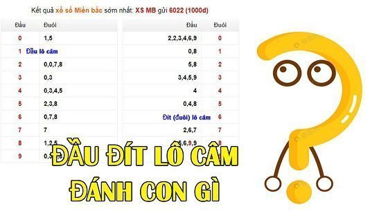 Đầu Đít Câm Đánh Lô Gì Mai Trúng 100%