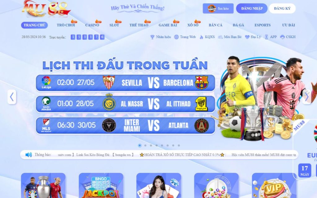 thao tác tải app cho android và iphone